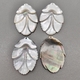 Бусина подвеска Лист из серого перламутра, 38*27 мм