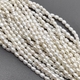 Жемчуг натуральный рисовый, белый, 4*3 мм, нитка