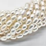 Жемчуг натуральный рисовый, белый, 5*4 мм, 39 см